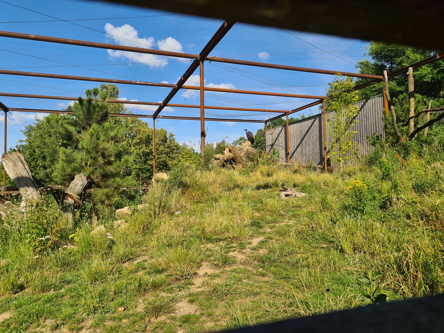 Taiga - New Taiga aviary