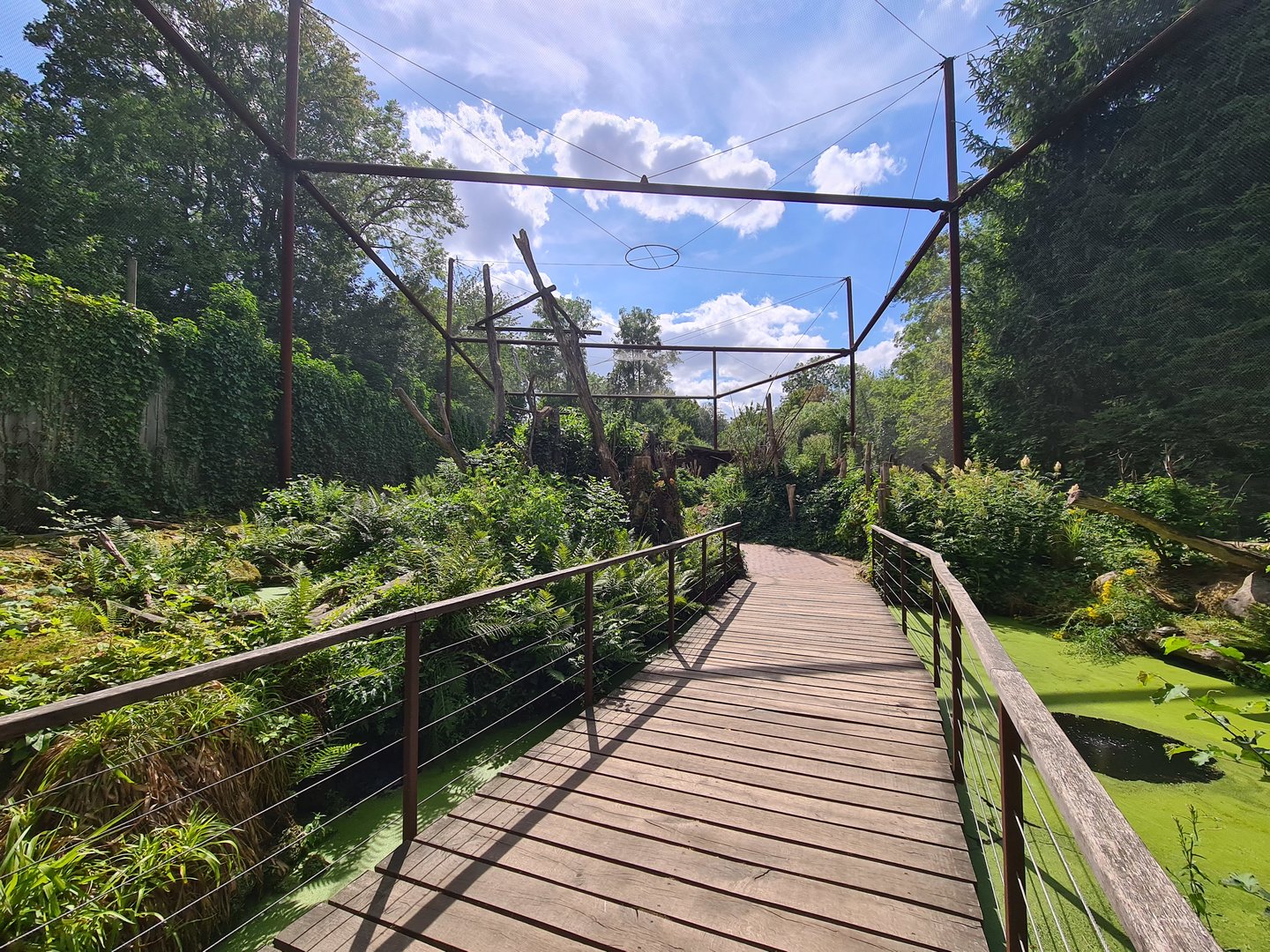 Taiga - Odd birds aviary