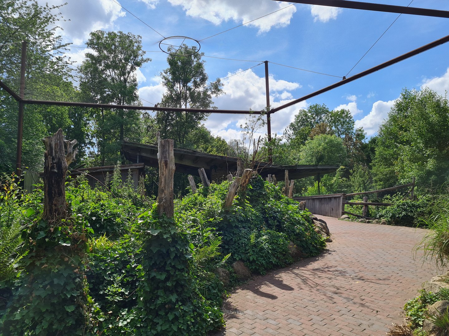 Taiga - Odd birds aviary