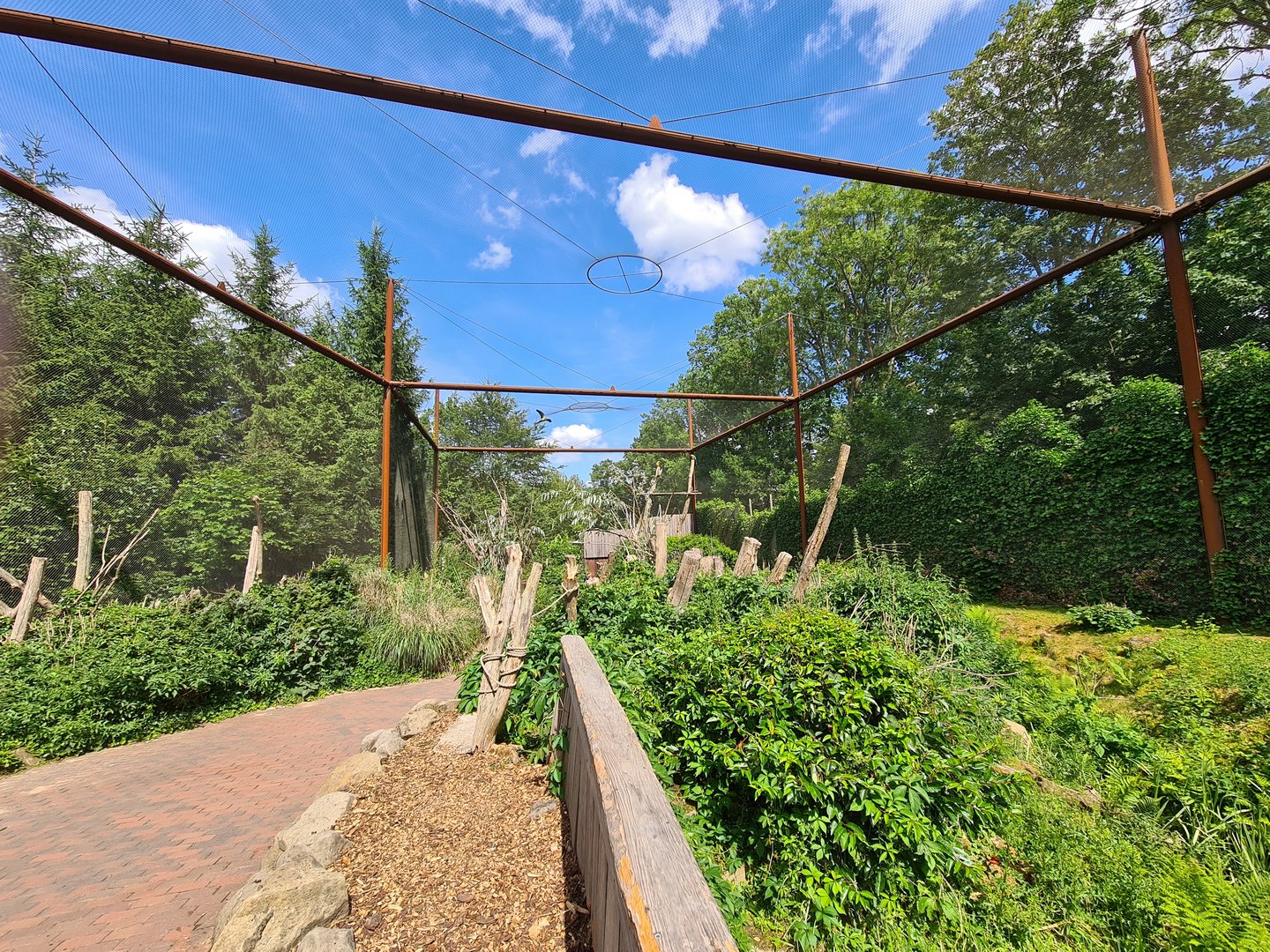 Taiga - Odd birds aviary