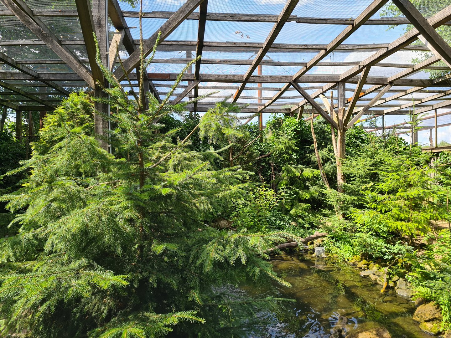 Taiga - Parakeet paradise aviary