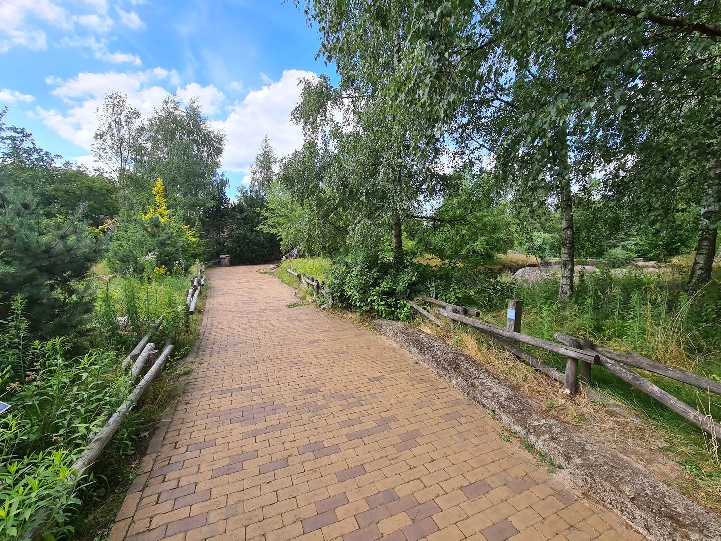 Taiga - Path near Reindeer enclosure