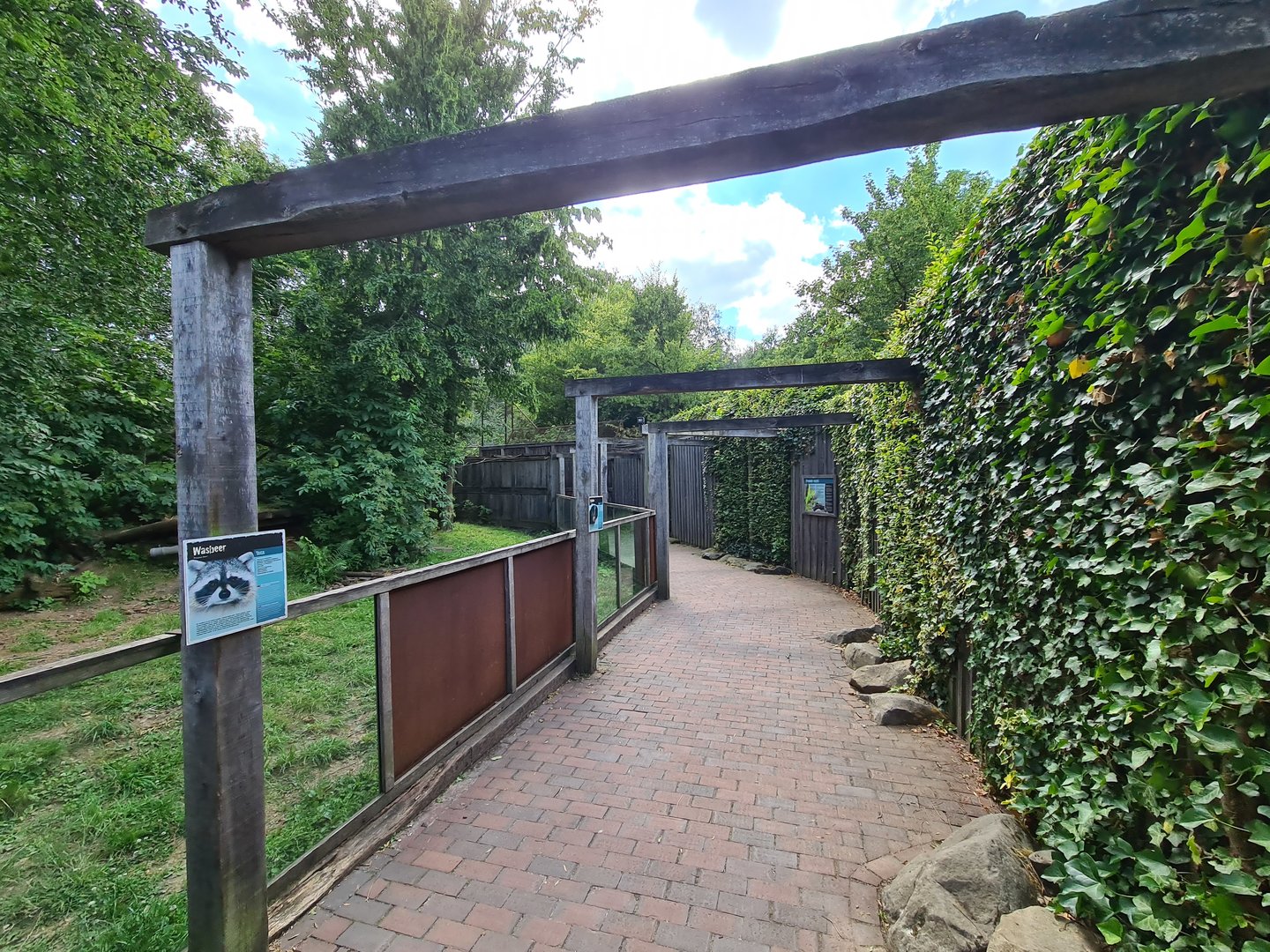 Taiga - Raccoon enclosure viewing area