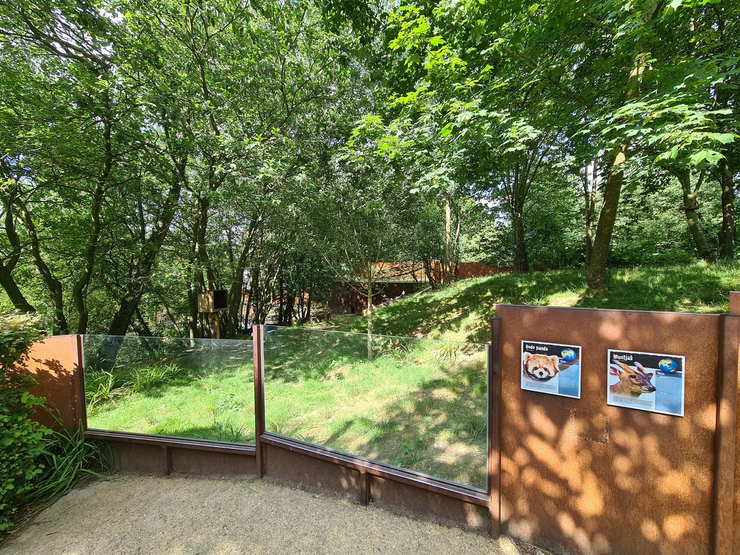 Taiga - Red panda and Reeves muntjac enclosure