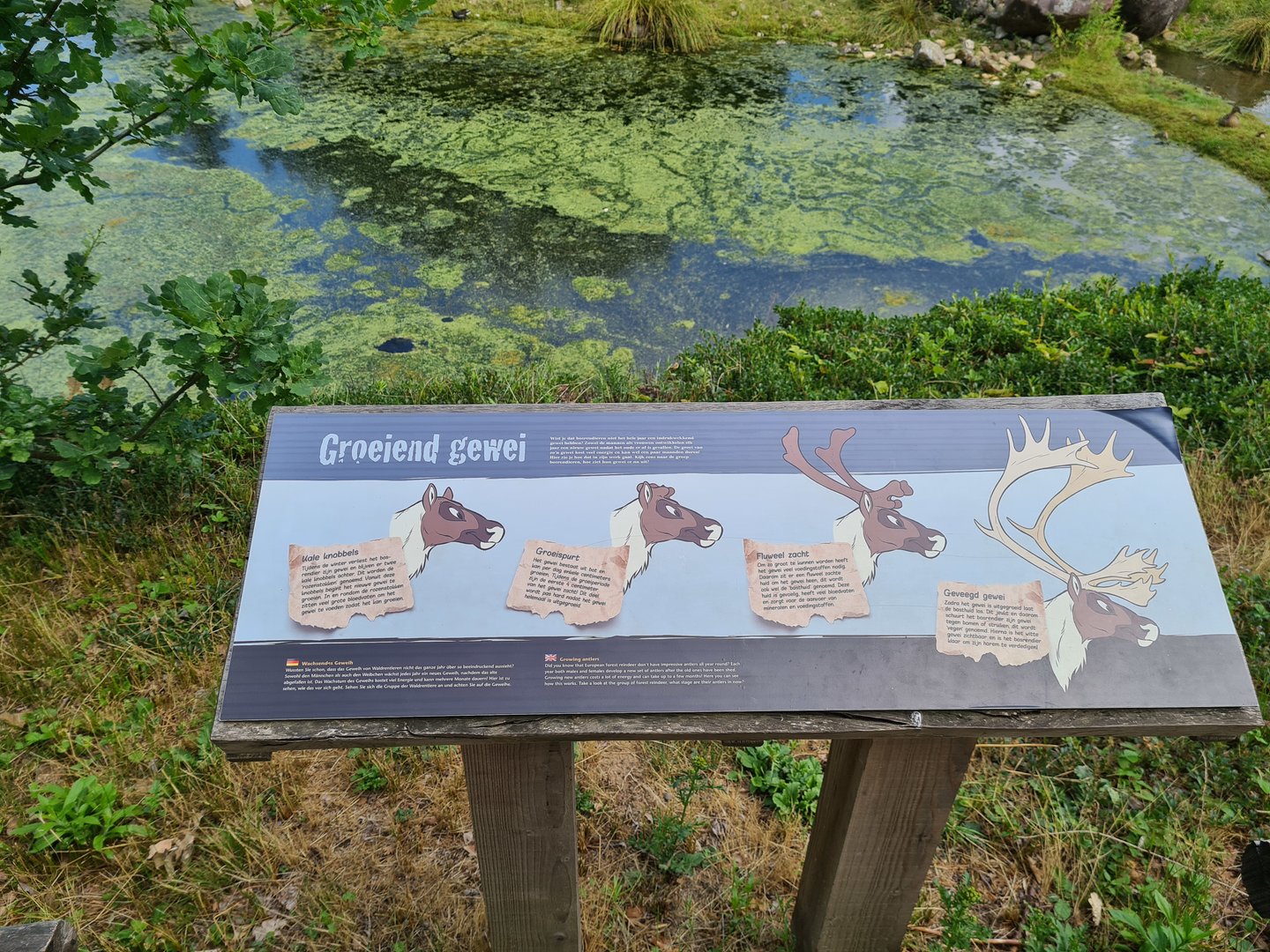 Taiga - Reindeer antlers signage