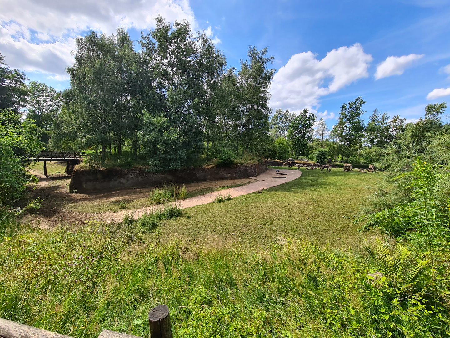 Taiga - Reindeer enclosure