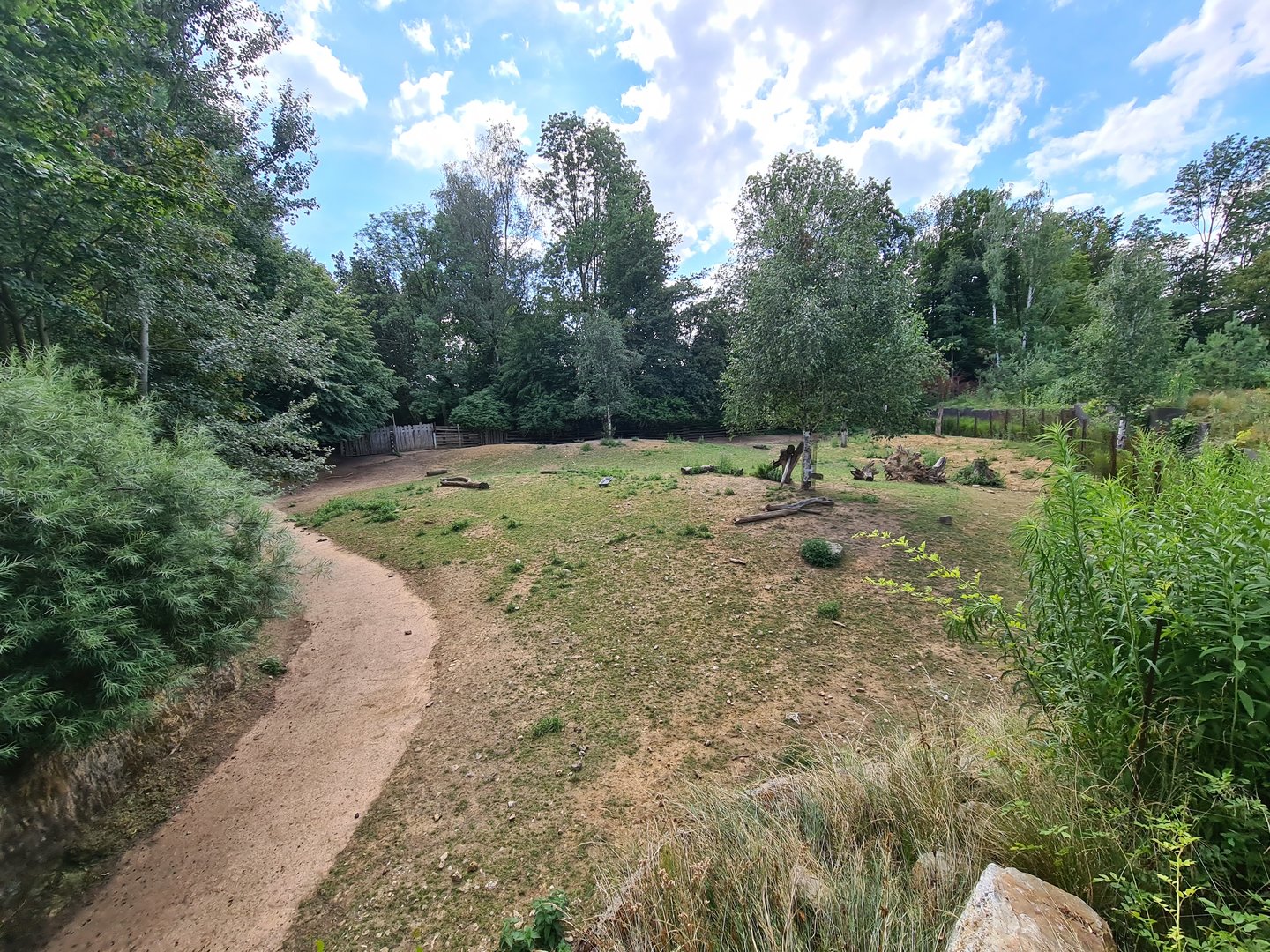 Taiga - Reindeer enclosure