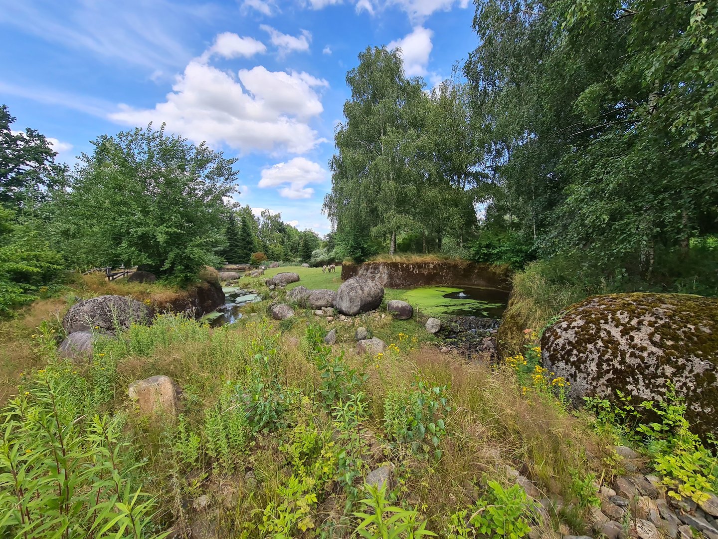 Taiga - Reindeer enclosure