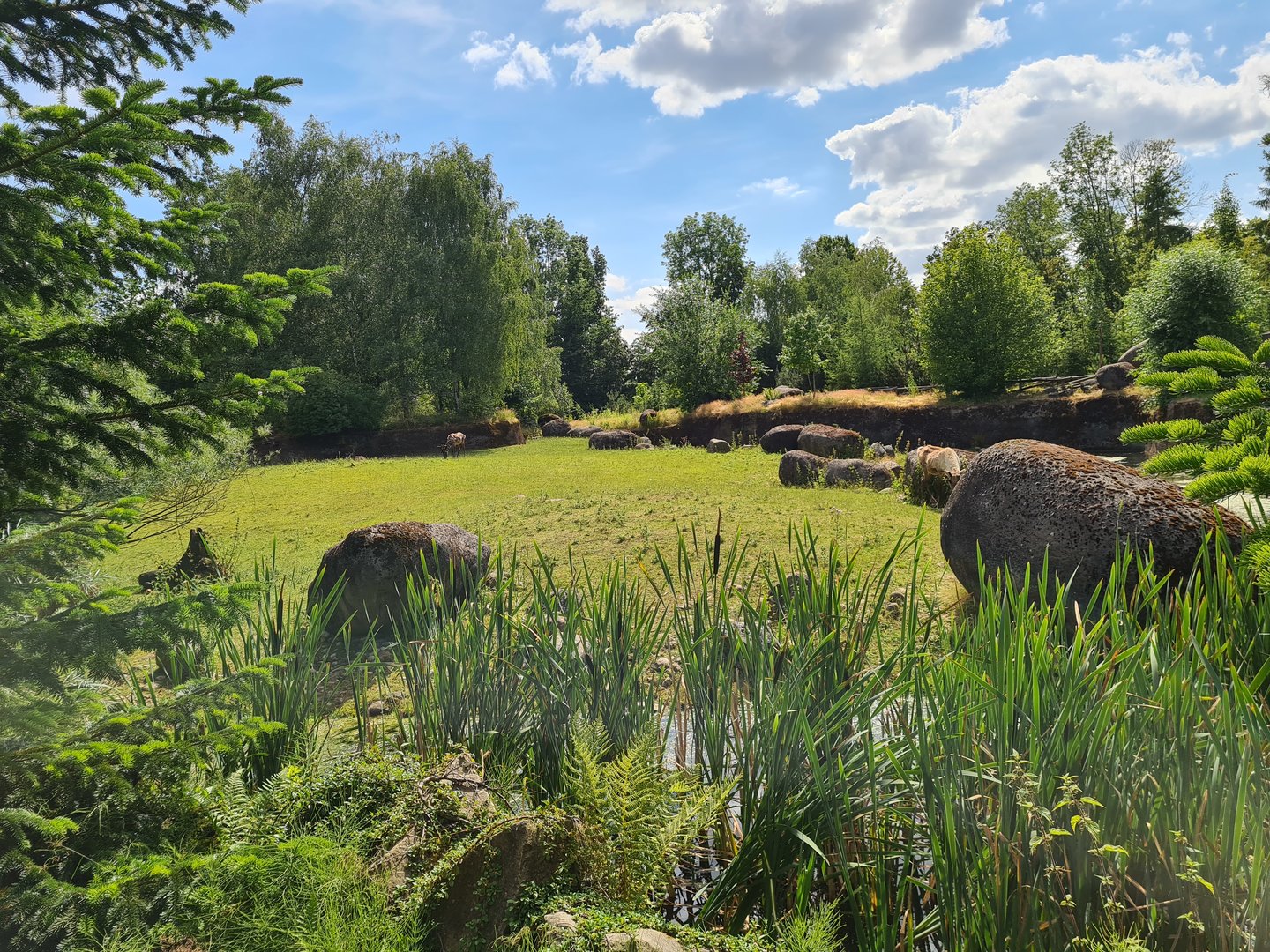 Taiga - Reindeer enclosure