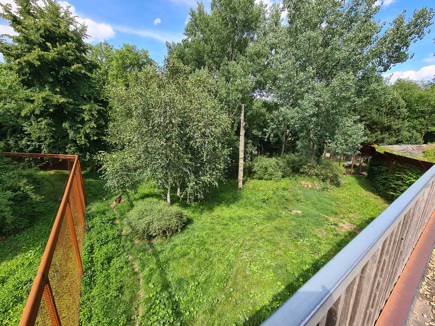 Taiga - Second European lynx enclosure