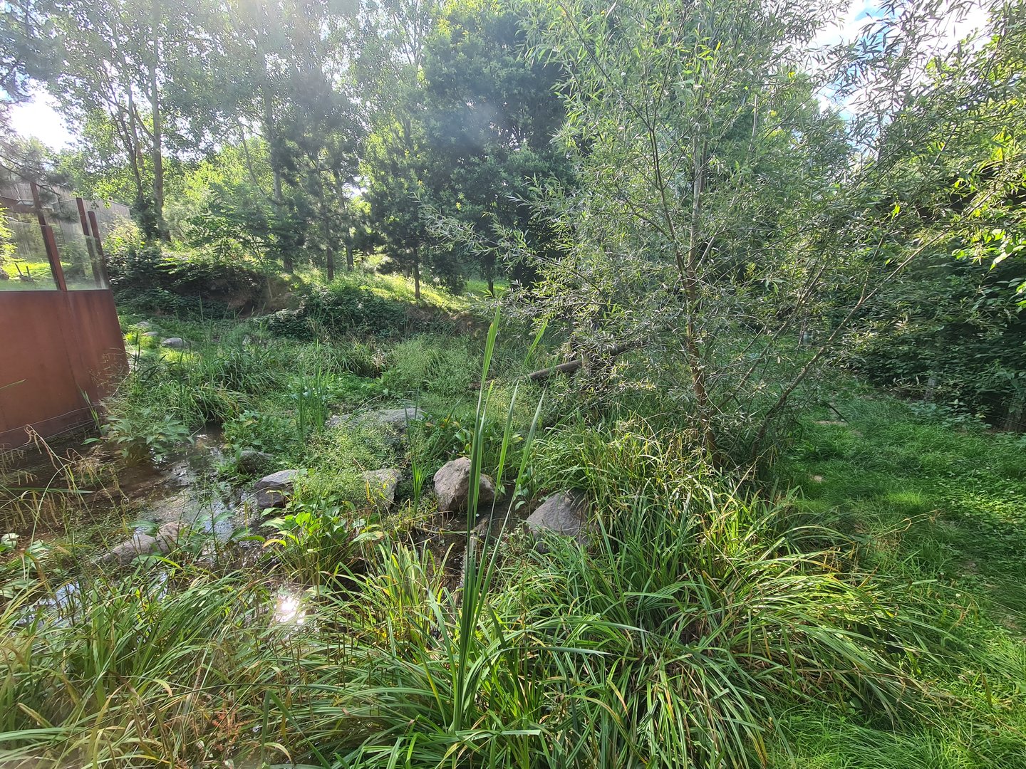 Taiga - Second European lynx enclosure
