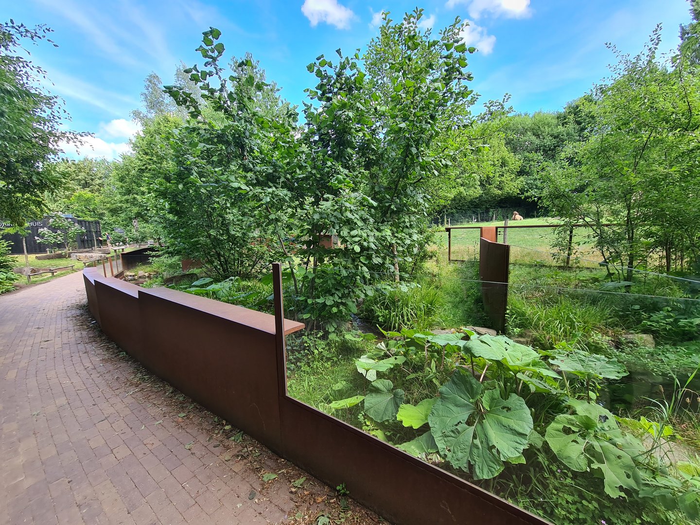 Taiga - Second European mink enclosure