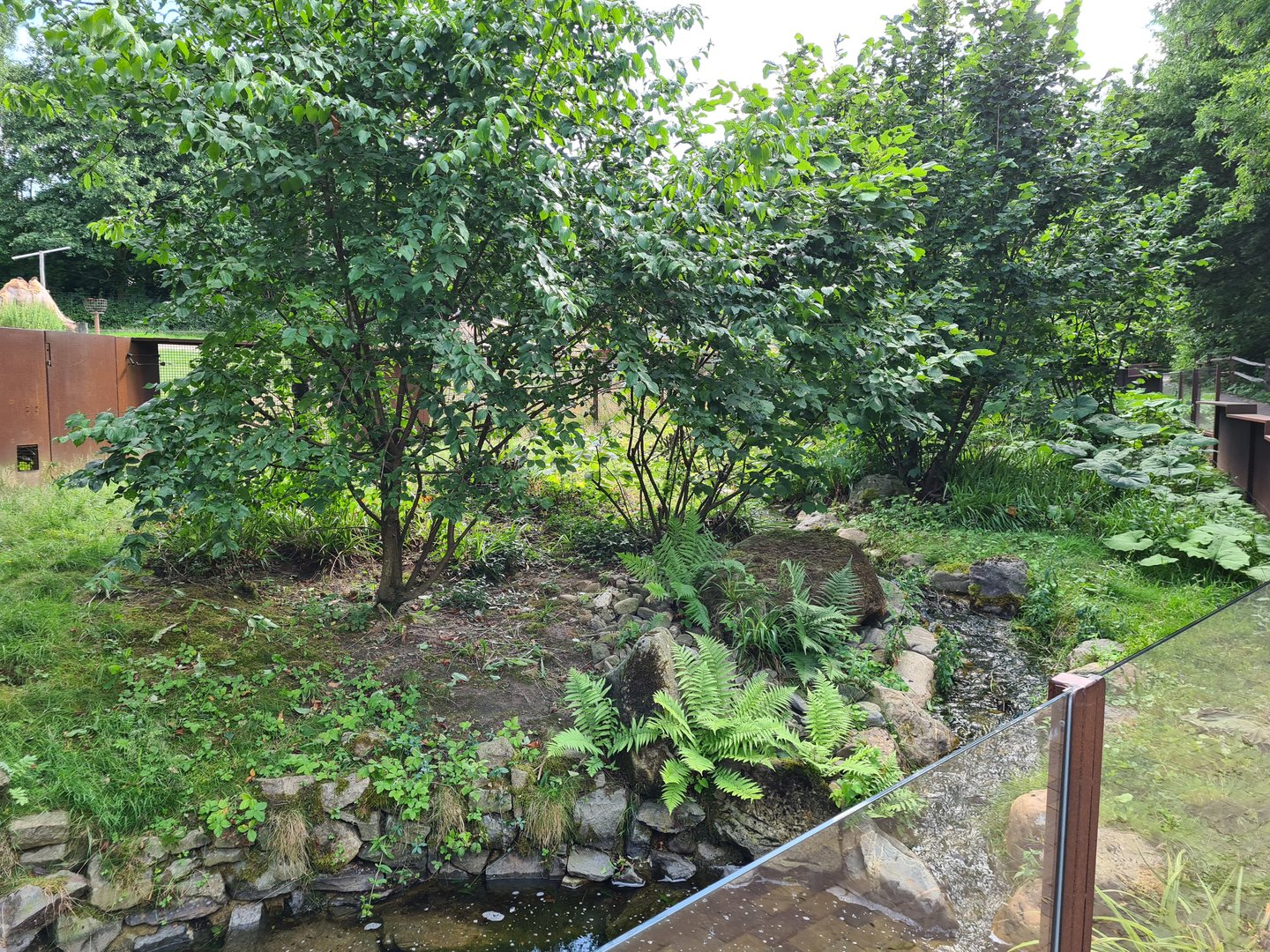 Taiga - Second European mink enclosure