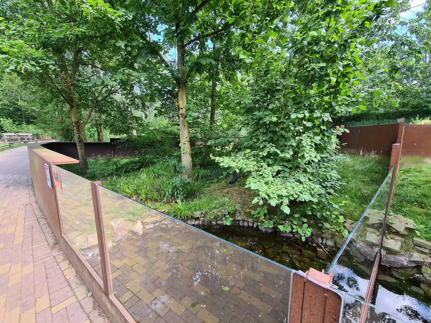 Taiga - Third European mink enclosure