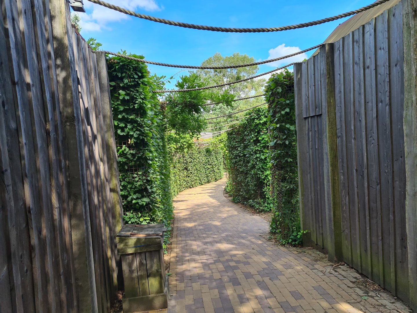 Taiga - Walkway between European lynx and Barbary macaque enclosures