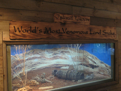 Taipan exhibit, Singapore Zoo