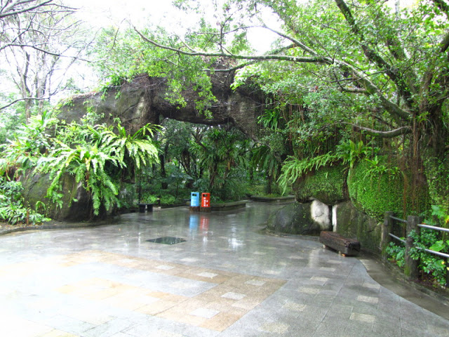 Taipei Zoo 10.01.2011