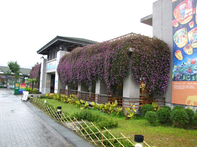 Taipei Zoo 10.01.2011
