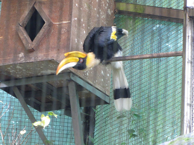 Taipei Zoo 10.01.2011