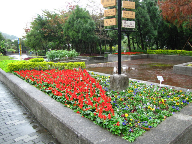 Taipei Zoo 10.01.2011