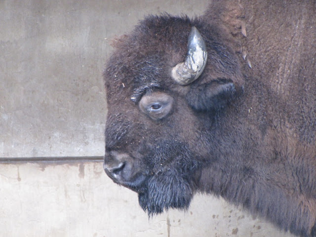 Taipei Zoo 10.01.2011