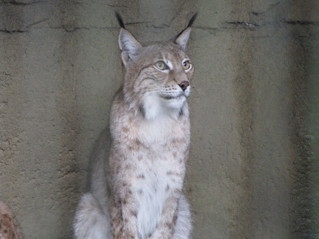 Taipei Zoo 10.01.2011