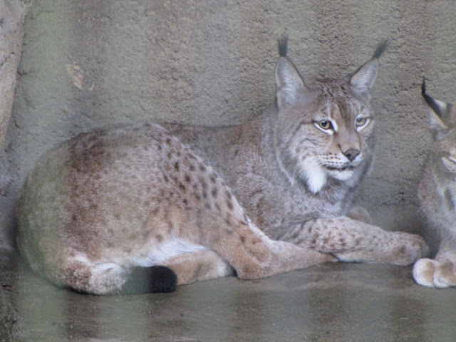 Taipei Zoo 10.01.2011