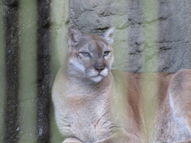 Taipei Zoo 10.01.2011