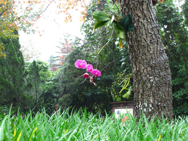 Taipei Zoo 10.01.2011