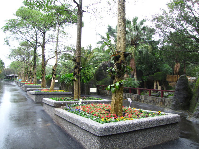 Taipei Zoo 10.01.2011