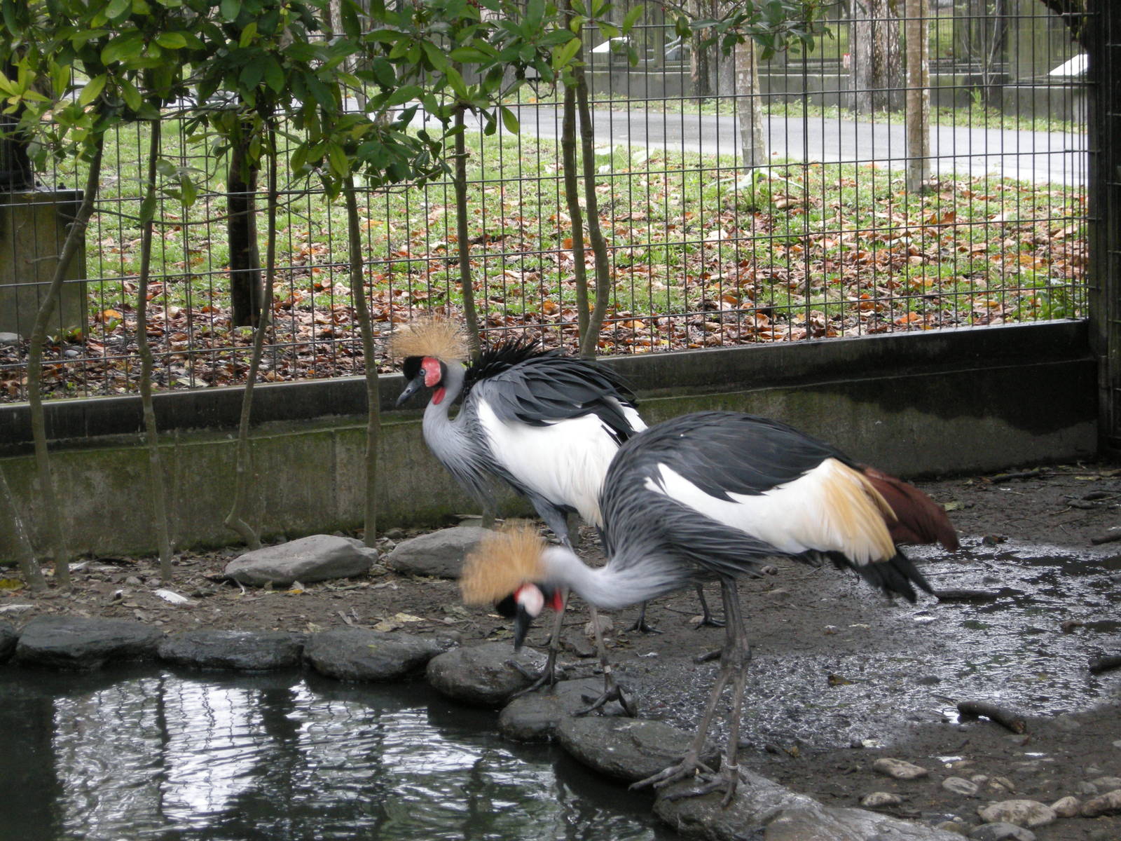 Taipei zoo