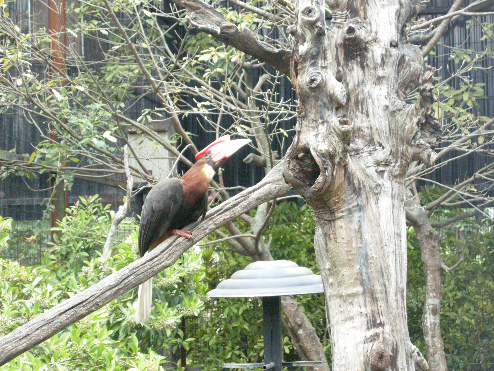 Taipei zoo