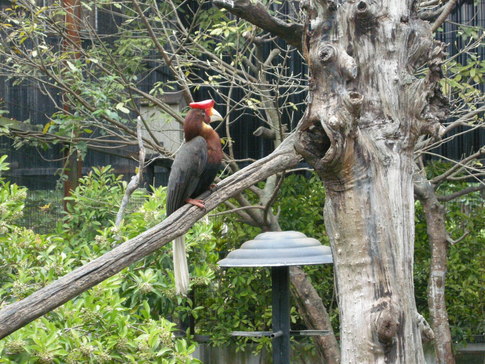 Taipei zoo