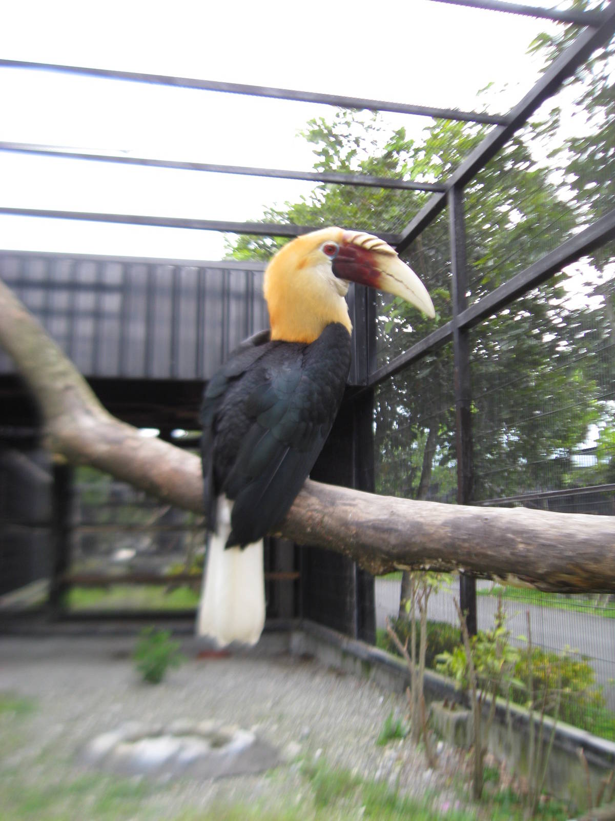 Taipei zoo