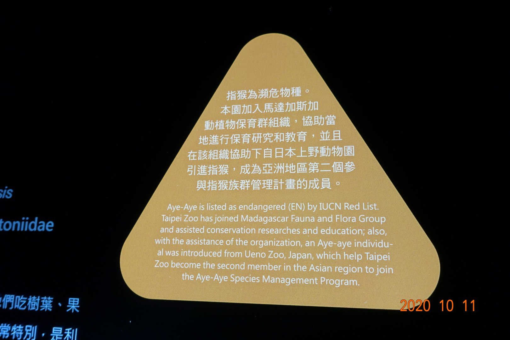 Taipei's first Aye-aye from Ueno.