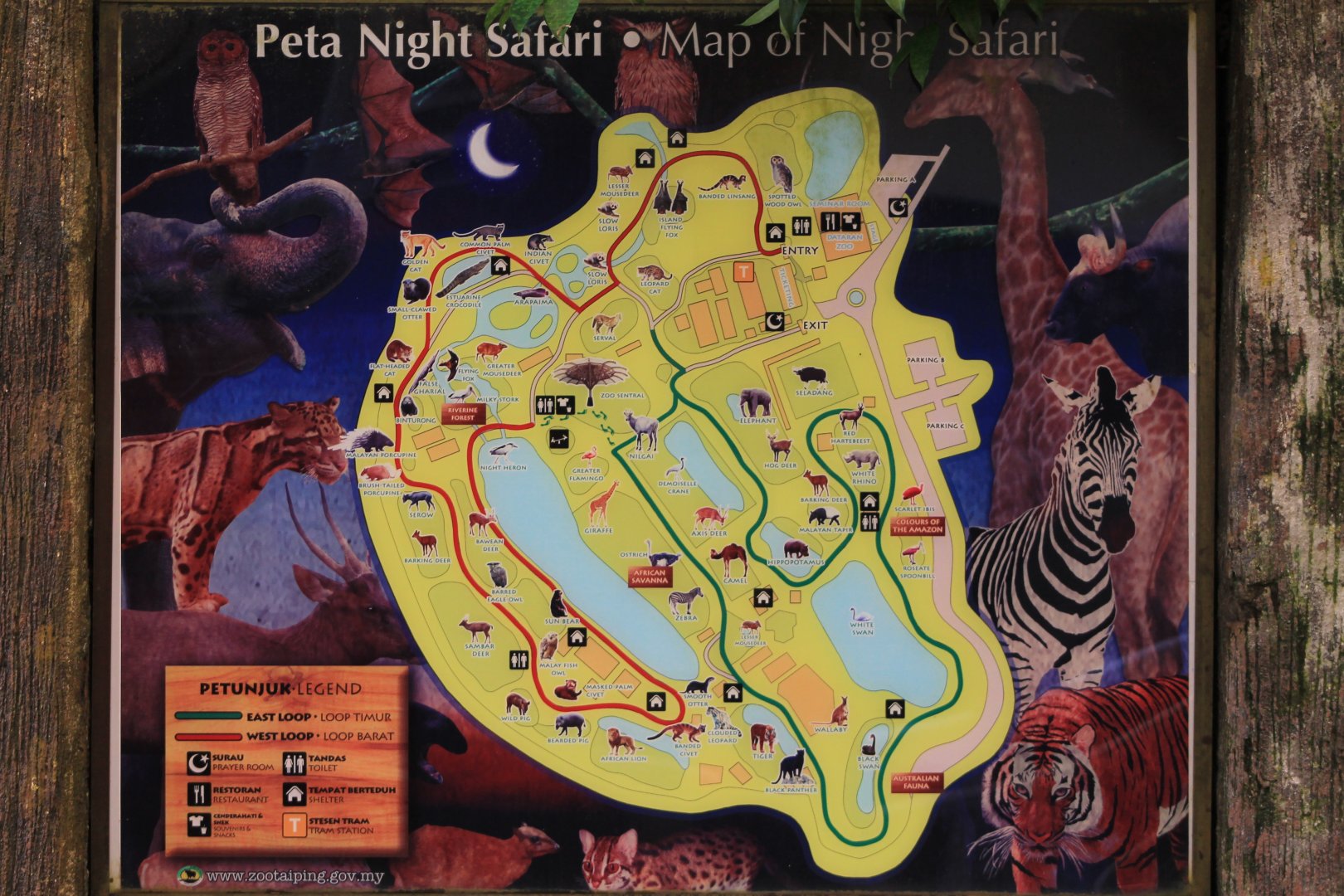 Taiping Zoo ,Night Safari map