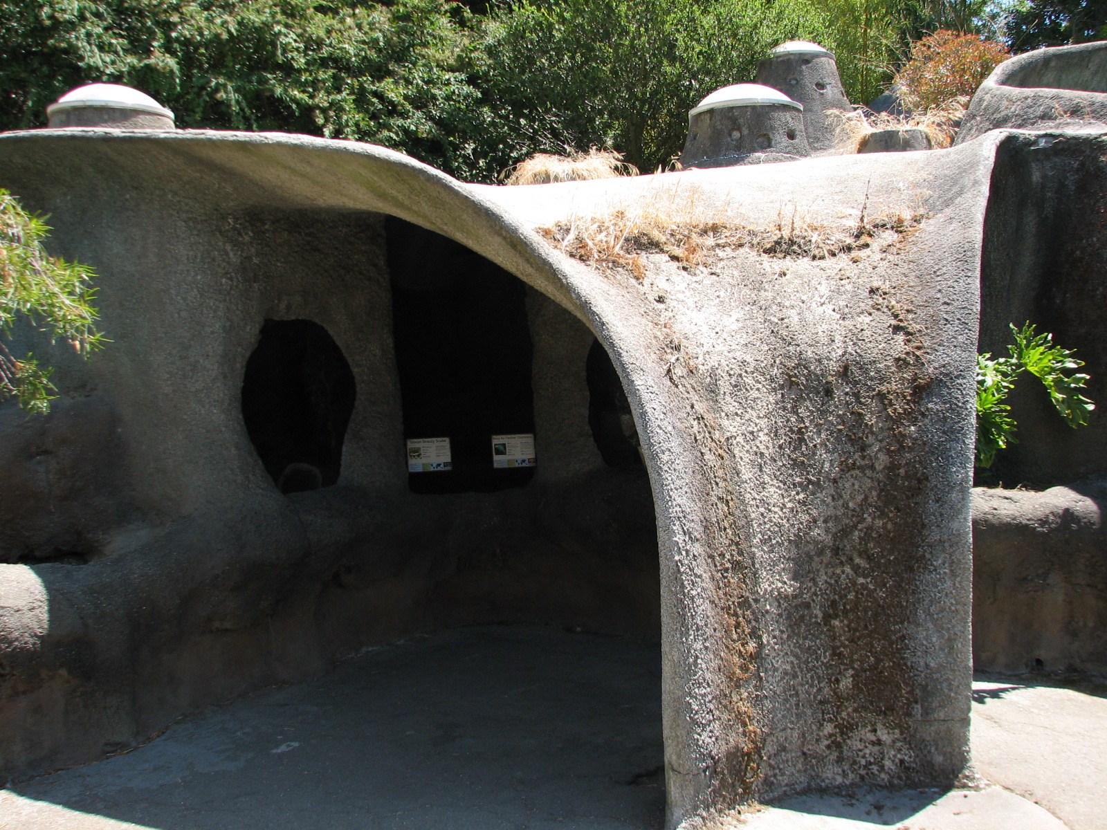 Taiwan Beauty Snake and Nosy Be Panther Chameleon Exhibits