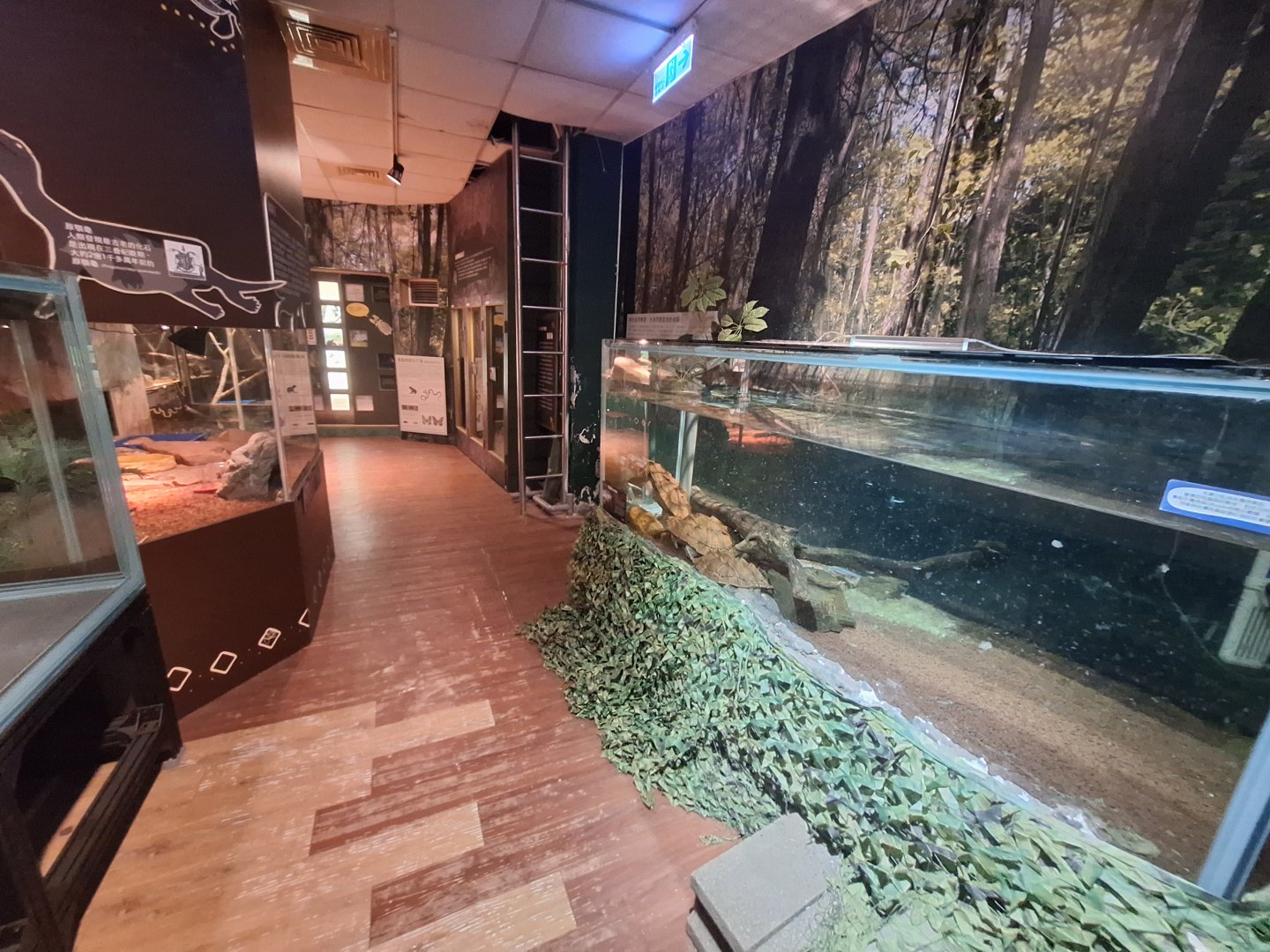 Taiwan Insect Museum- Herp Enclosures