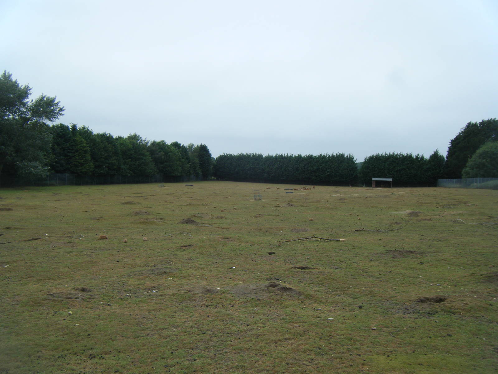 Taiwan Sika Deer and Black-Tailed Prairie Marmot paddock.