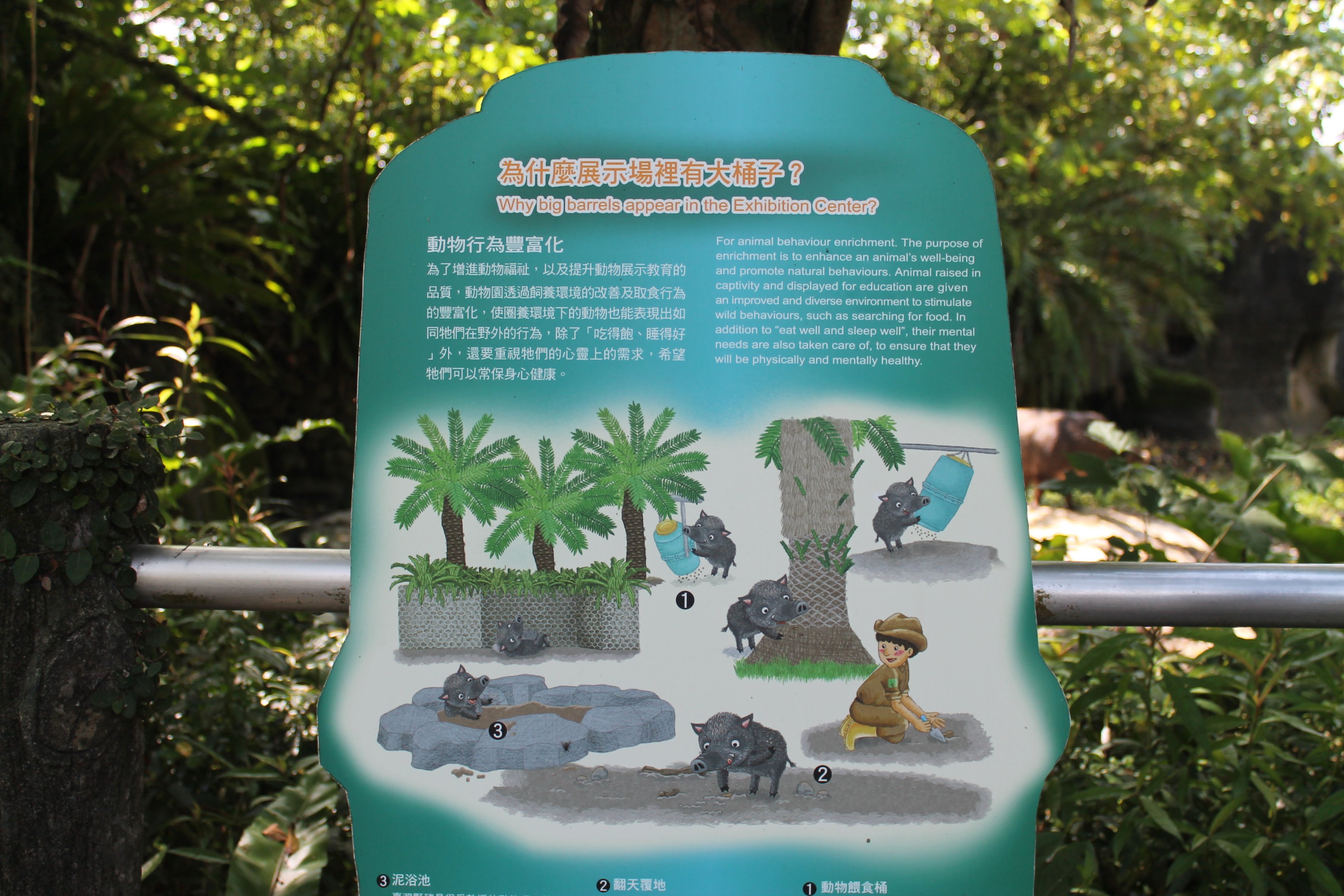 Taiwan Wild Pig (Sus scrofa taivanus) signage