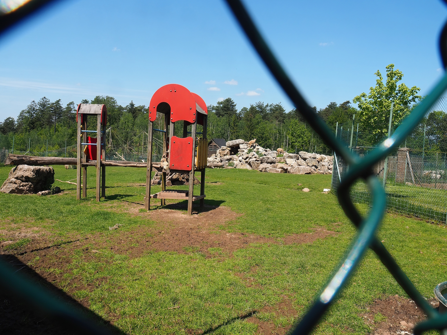 Tajik markhor and White-naped crane exhibit, 2023-05-19