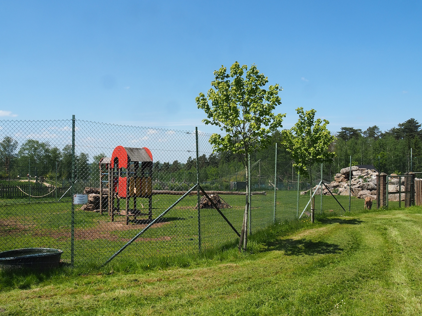 Tajik markhor and White-naped crane exhibit, 2023-05-19