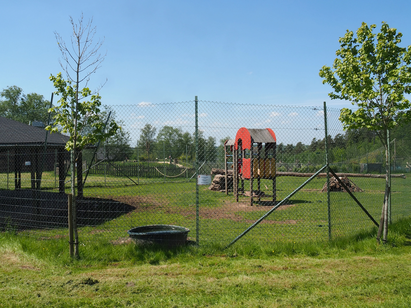 Tajik markhor and White-naped crane exhibit - Area with shelter and petting zoo paddock, 2023-05-19