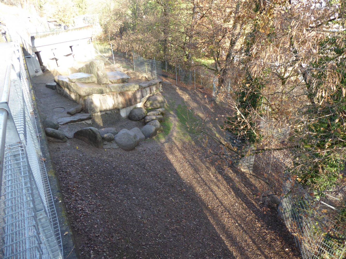 Tajik markhor enclosure 011218