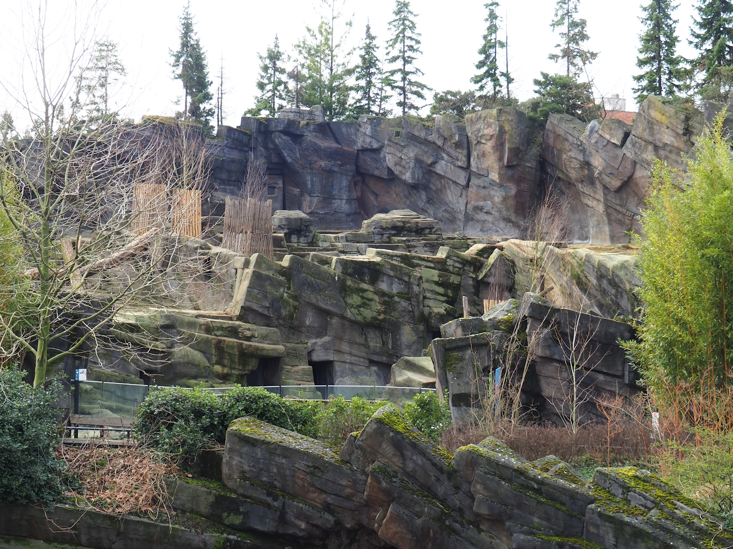 Tajik markhor exhibit, 2024-02-17