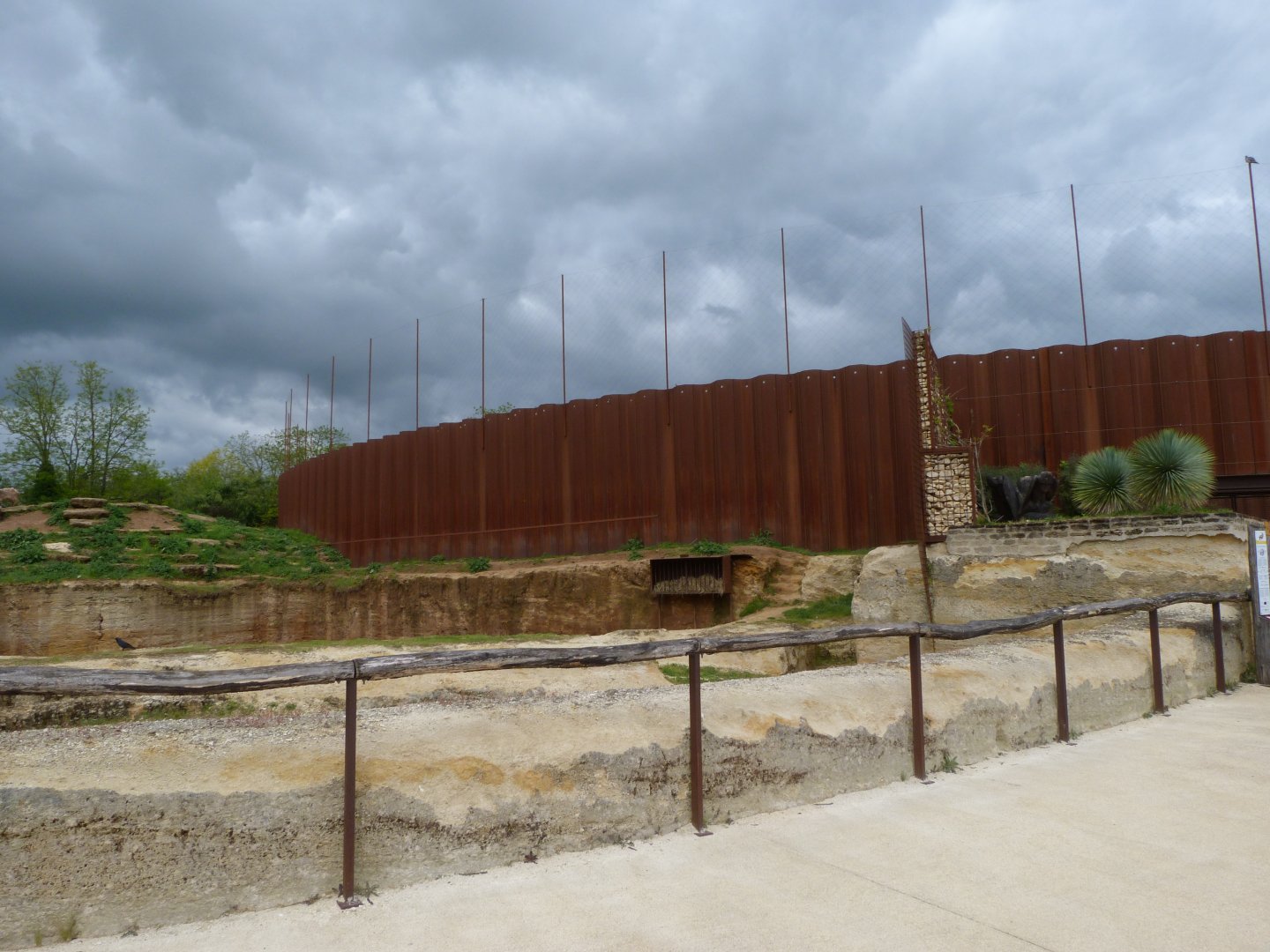 Tajik markhor exhibit -Bioparc de Doué la Fontaine (2025)