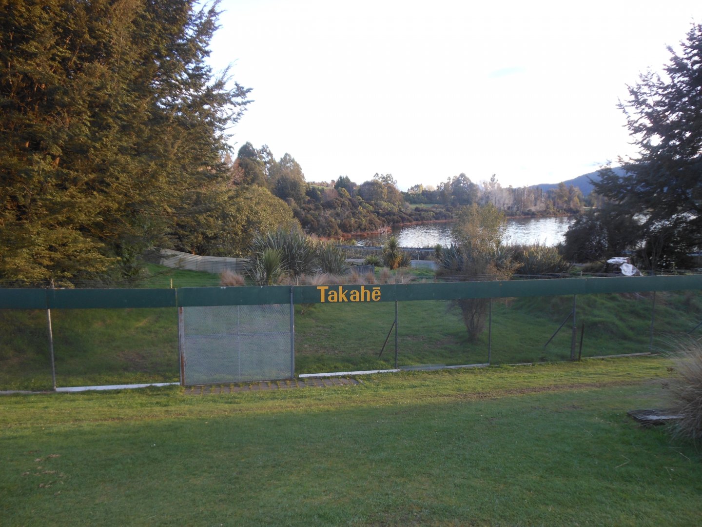 Takahe enclosure