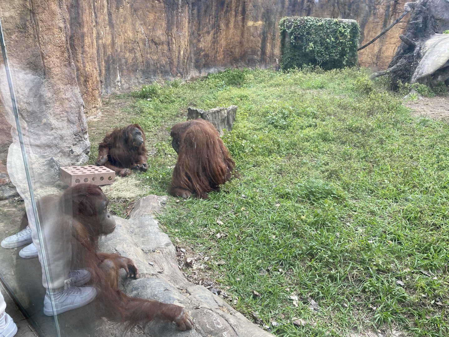 Takai, Cheyenne and Aurora
