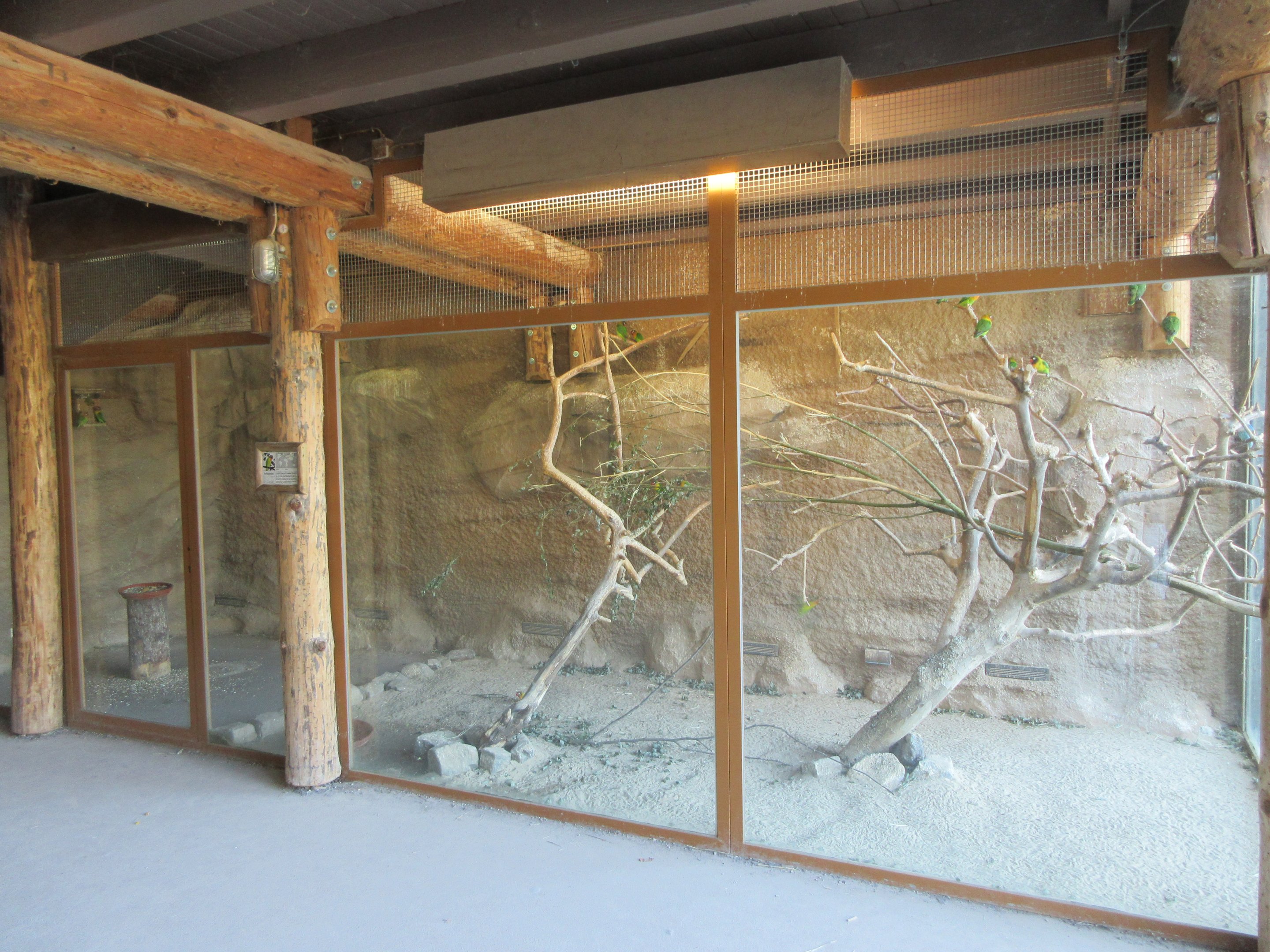 Takamanda - Aviary next to Colobus/Warthog Exhibit