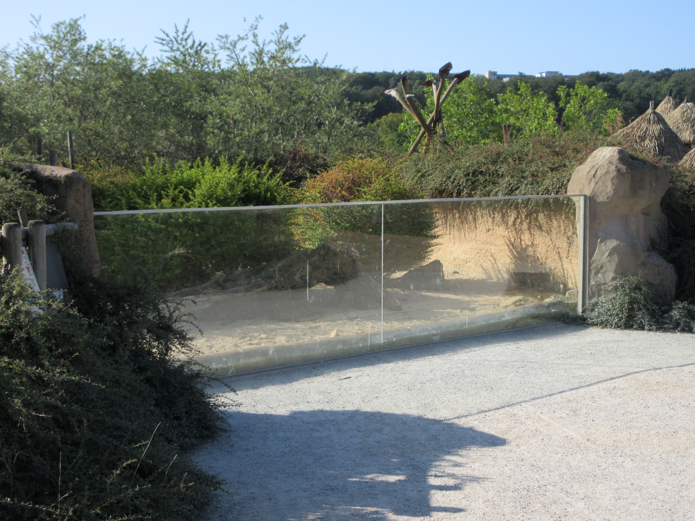 Takamanda - Banded Mongoose Exhibit
